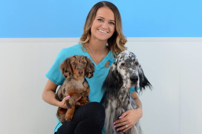 Our Team Winnipeg Dog Daycare, Dog Kennel, Dog Boarding